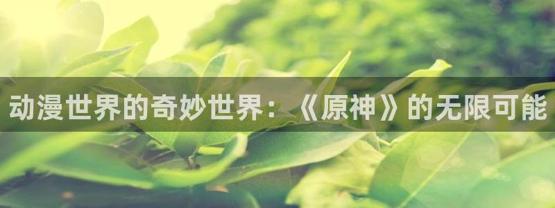 天堂动漫在线观看