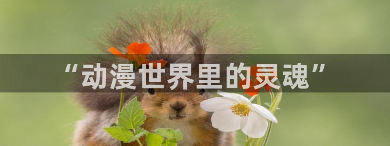 天堂动漫：“动漫世界里的灵魂”