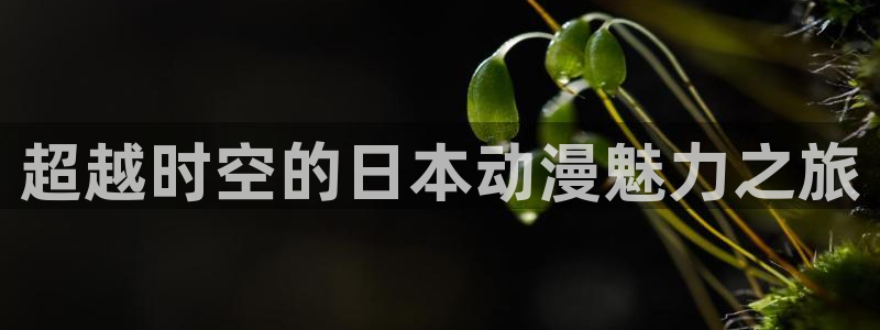 天堂动漫网站：超越时空的日本动漫魅力之旅