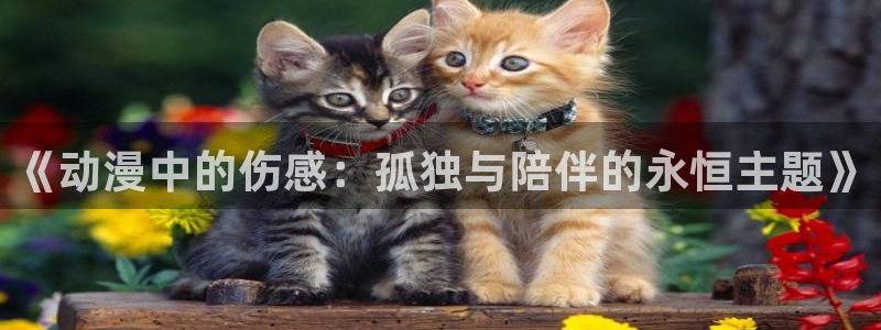 动漫天堂下载安装最新版：《动漫中的伤感：孤独与陪伴的永恒主题》