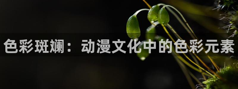 天堂动漫网页：色彩斑斓：动漫文化中的色彩元素