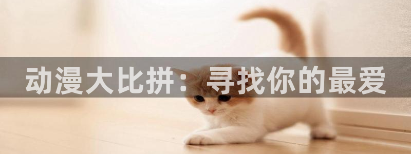 天堂动漫破解版：动漫大比拼：寻找你的最爱